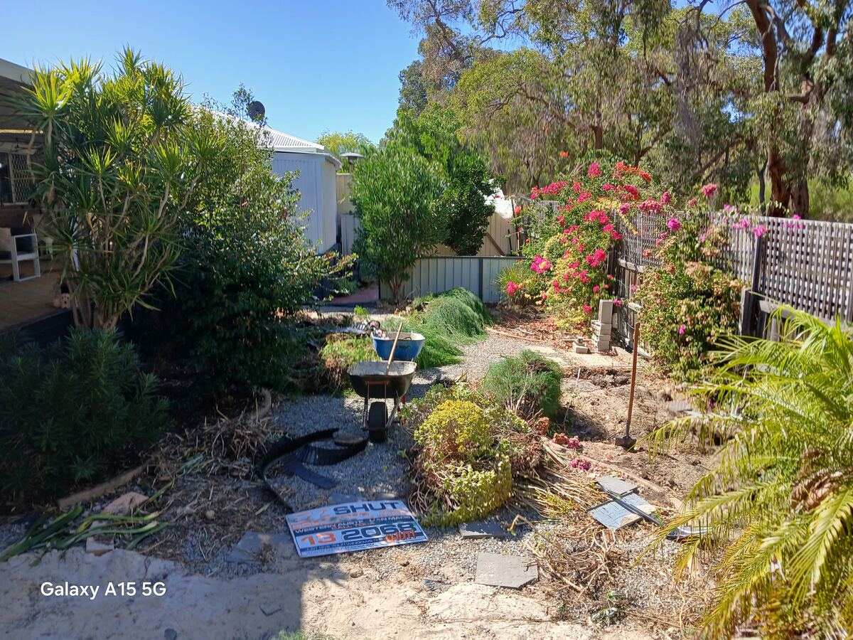 Backyard before renovation