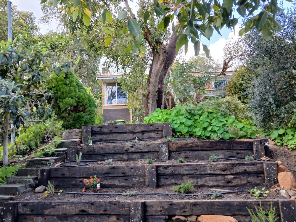 Retaining wall garden bed after renovation